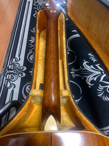 Carlo Robelli Akustikgitarre für Anfänger eingestellt - Bild 8 von 9