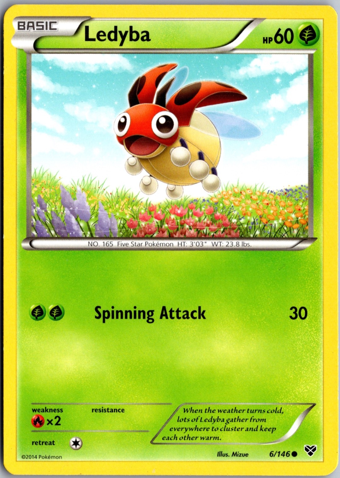 Ledyba 6/146 Common XY Base Set Lightly Played Pokemon Card TCG Single