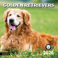 2026 Wall Calendar,Calendar 2026, November 2025 - December 2026, Wall Calendar G