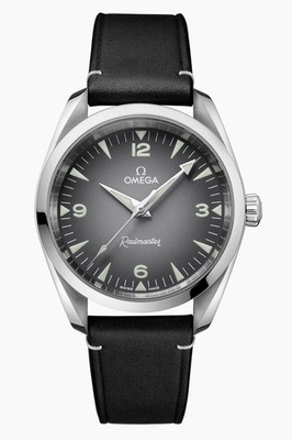 Omega Seamaster 38MM RAILMASTER Grey/Black Dial Watch 235.12.38.20.06.001 NEW