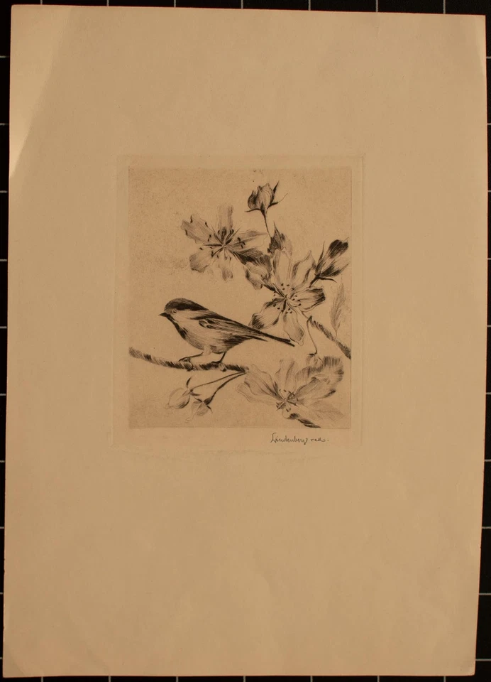 Eugen Lindenberg Vogel auf einem Blütenzweig Jugendstil signiert Radierung 20 Jh - Bild 2 von 3