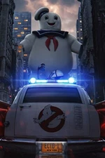 Ghostbusters Poster Wall Art Home Decor Photo Prints 16x24, 20x30, 24x36"