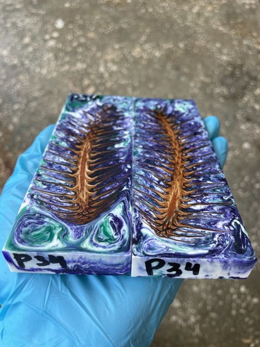 pinecone in resin pine cone spruce stabilized pair scales for handle P34 - 第 3/4 張圖片