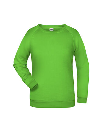 James & Nicholson Damen Sweatshirt Pullover Übergrößen JN793L