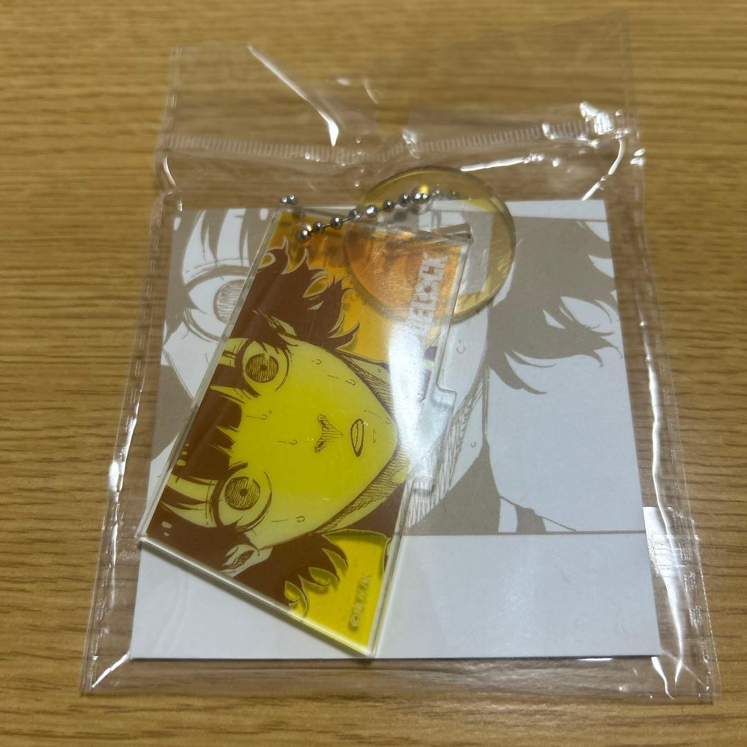 Blue Rock Acrylic Keychain Akky Hiraku Character Badge, New, 透明