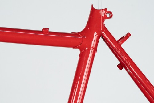 NOS CHESINI CAPRIOLO TELAIO IN ACCIAIO VINTAGE MTB MOUNTAIN BIKE 26" ANSE TRAINATE - Foto 4 di 17