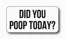 DID YOU POOP TODAY Gag Prank Funny Hard Hat Construction Toolbox JDM Sticker