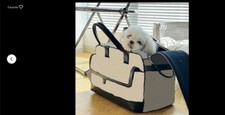 Breathable Cat Dog Puppy Pet Airline Approved Travel Carrier Bag