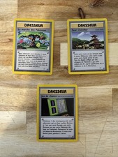 Carte Pokémon La marche des Pokémon Français, Tour Chetiflor, Jen De Chance