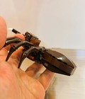 LEGO Harry Potter #75950:  Aragog's Lair Spider ONLY Sold As Is (Incomplete) — photo 6