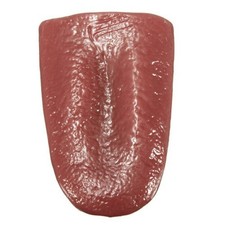 Horrific Tongue Prop Tricks Tongue Toys Prop Tricks Tongue Toys Realistic Fake