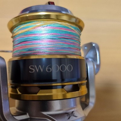 Shimano Biomaster SW 6000HG Spinning Fishing Reel Saltwater 5.7