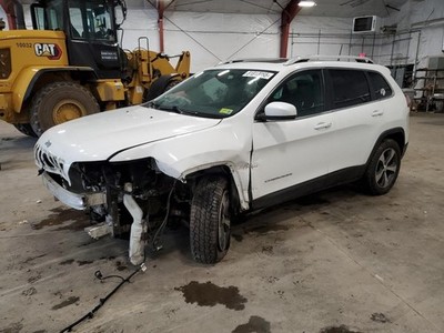 Passenger Air Bag Front Passenger Roof Fits 19-23 CHEROKEE 2069878