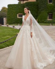 Light Champagne Long Sleeves Wedding Dresses V Neck Backless Bridal Gowns