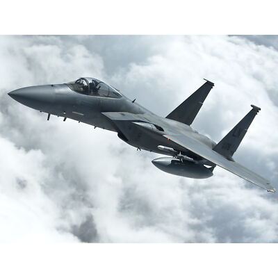 Militär USA F-15C Adler 493rd Fighter Squadron XL Wandbild Leinwandbild