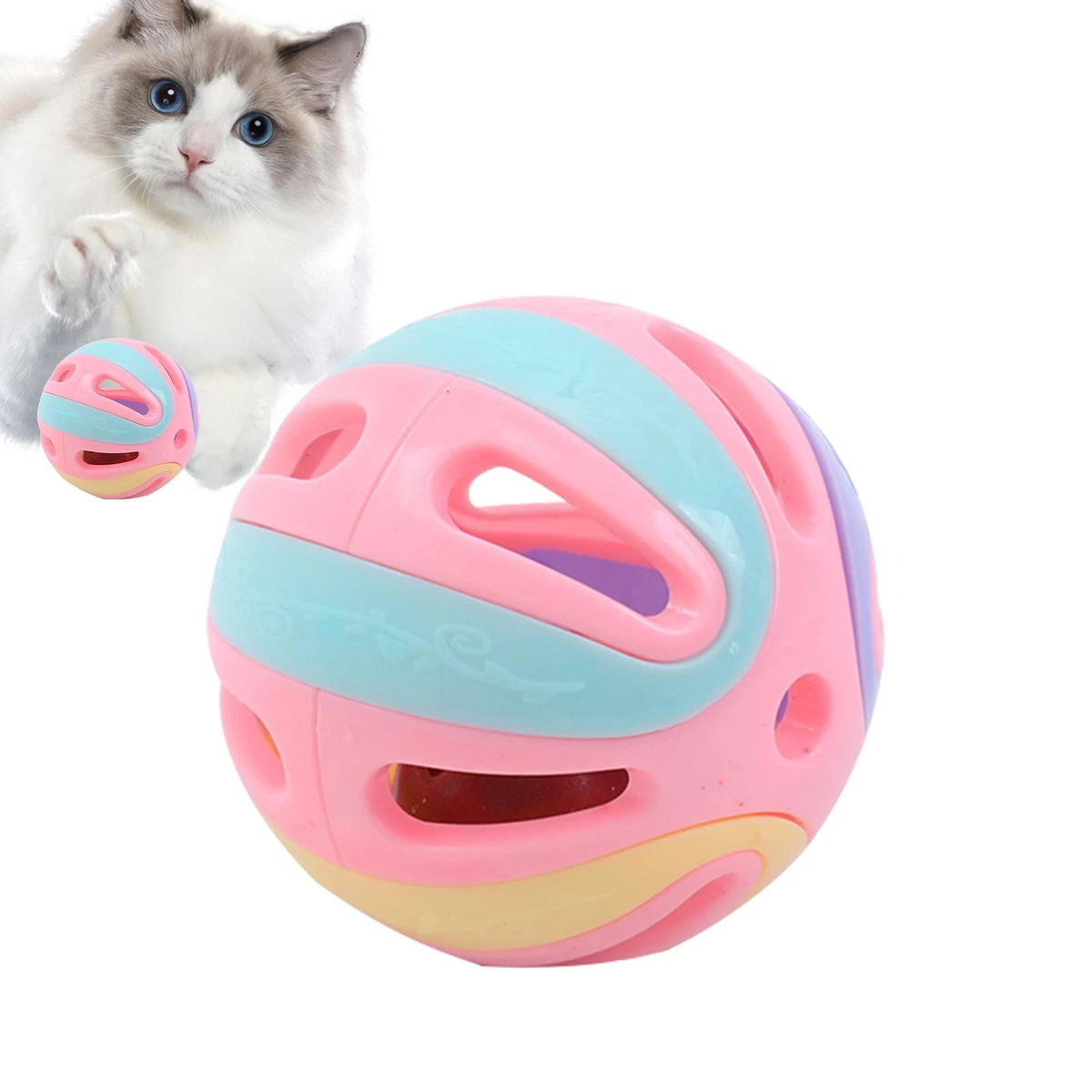 Cat 2025 jingle ball