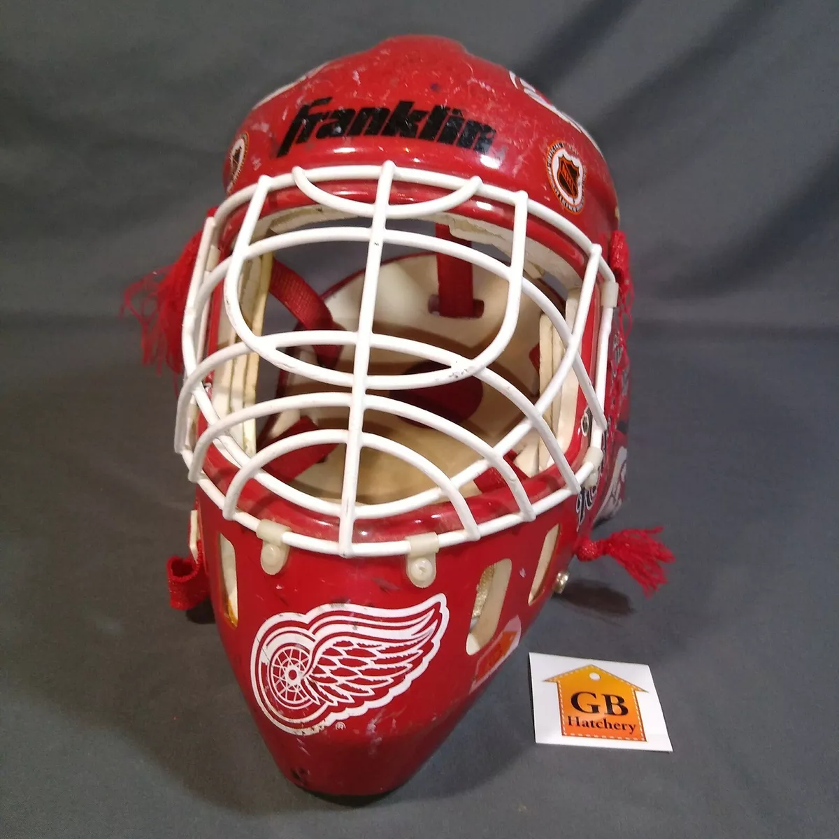 NHL Detroit Red Wings Multi-Sport Youth Helmet for Ages 5 and Up by Walk-Onz Sports