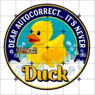 Sublimation Print Dear Autocorrect Duck Ready to Press Heat Transfer