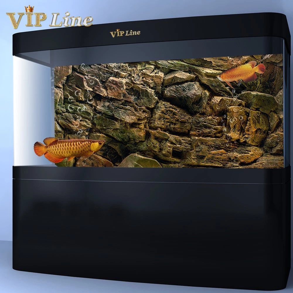 Aquarium Rock Background