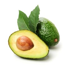2 HASS AVOCADO SEED Organic Non Gmo Delicious Creamy FREE