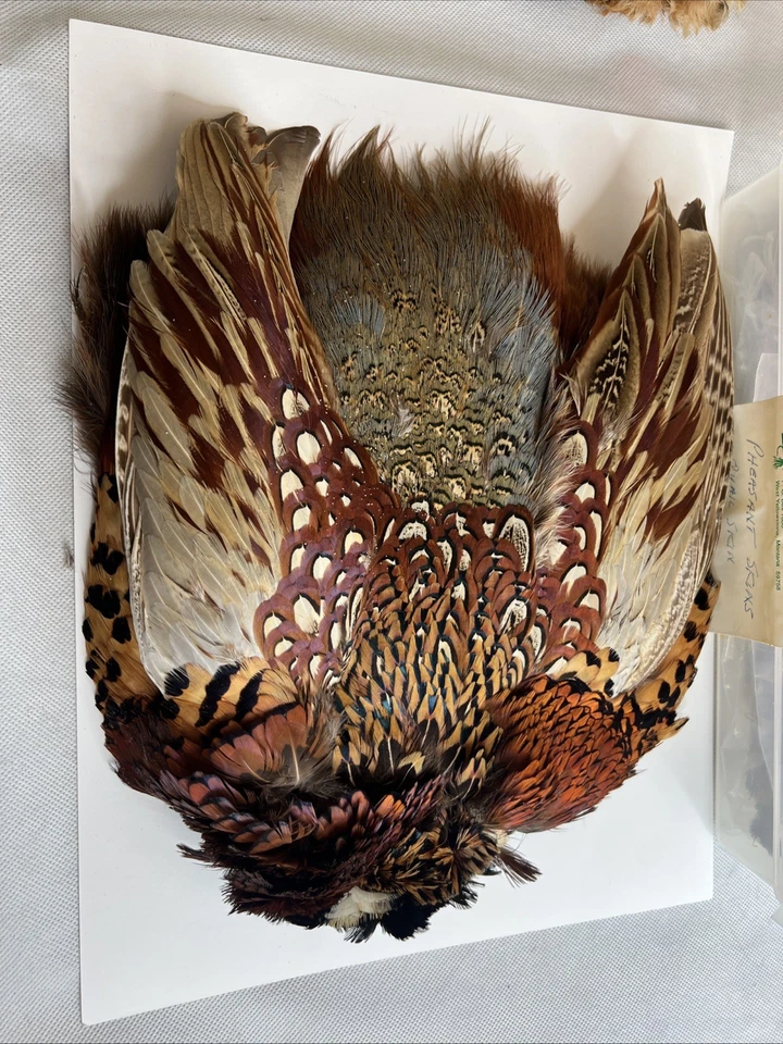 Lote De Colección De 4 Materiales Para Atar Moscas Y Plantillas Piel De Codorniz Faisán Hermosos Colores Foto 4 de 4