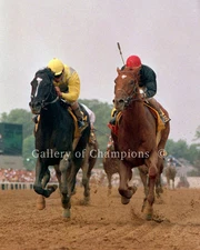 Sunday Silence 1989 Preakness Stakes Remote Photo 8" x 10 - 24" x 30" 