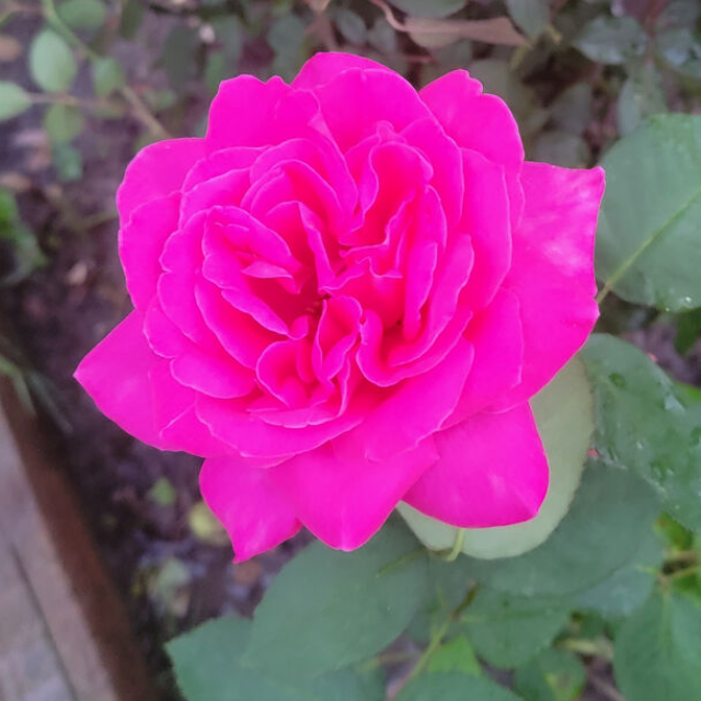 Low Prices + Combined Shipping Low Prices + Combined Shipping