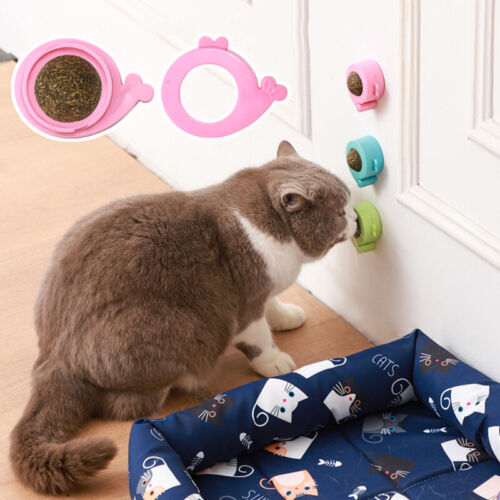 Natürliche Katzenminze Kätzchen Minzball Spielzeug Katzen Die Zähne Putzen C8 - Bild 1 von 15