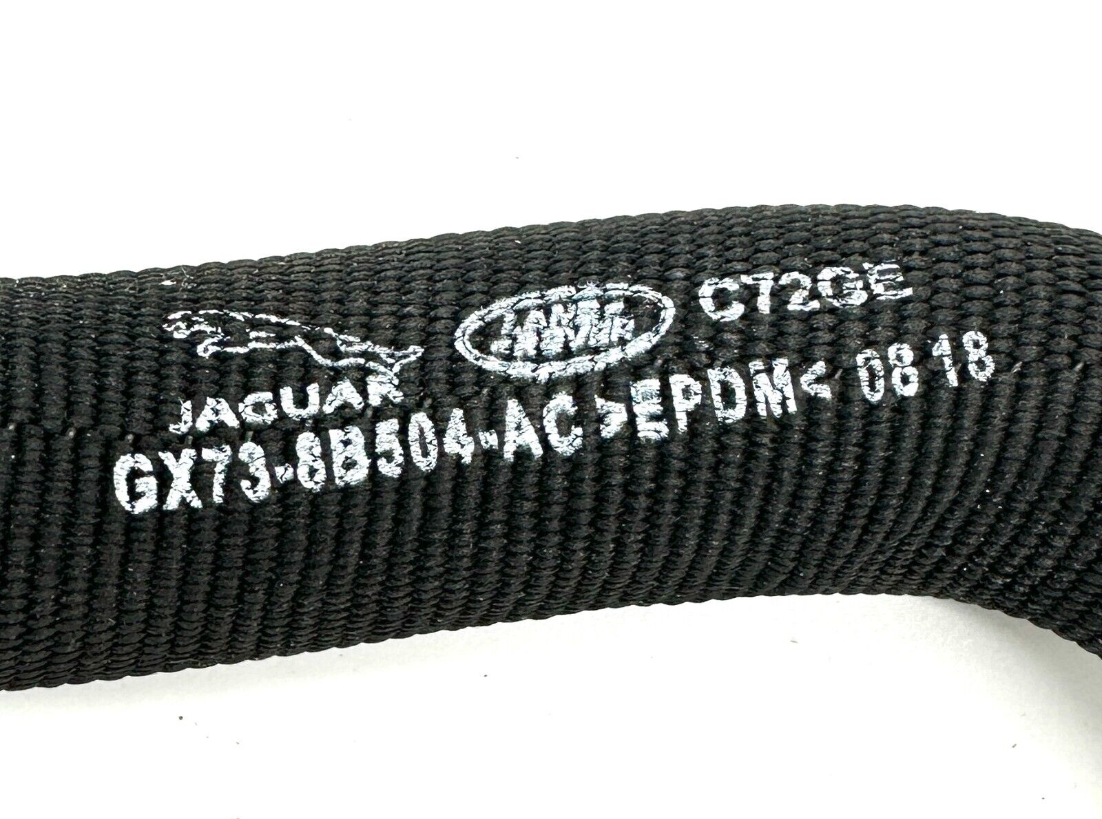 Picture 4 of 5