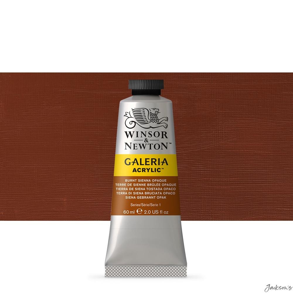 Winsor & Newton Galeria Acrylic Paint Synthetic Iron Oxides 60ml Burnt Sienna...