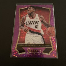 2013-14 Panini Select Basketball Cards 14