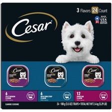 Wet Dog Food Trays for Adult Dogs Filets in Gravy Variety Pack 3.5 Oz 24 Pack