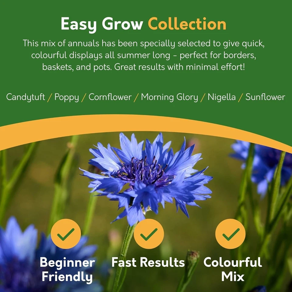 Flower Seeds UK | 24 Varieties | 3100 Seeds | Gardening Gifts Women | Men - Image 3 of 4