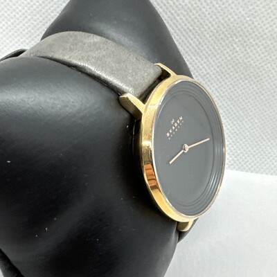 Skagen Ditte SKW2216 Women display picture 3