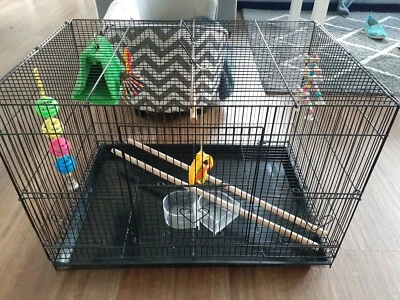 Bird Cage In Central Coast Nsw Region Nsw Pets Gumtree Australia Free Local Classifieds