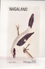 W NAGALAND ST 033A BIRDS GREY SHRIKE SOUVENIR SHEET