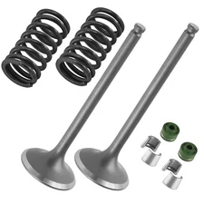 2x Exhaust Valve Kit for Yamaha 33D-12121-00-00 B11-12114-00-00 51Y-12119-00-00