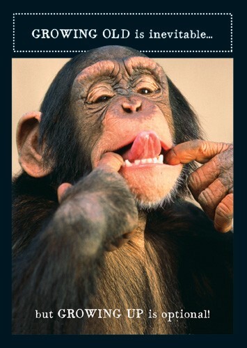Funny Chimp Growing Old Birthday Card – Animal Photography Greeting Card