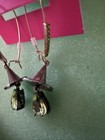 Bild 3 von 5