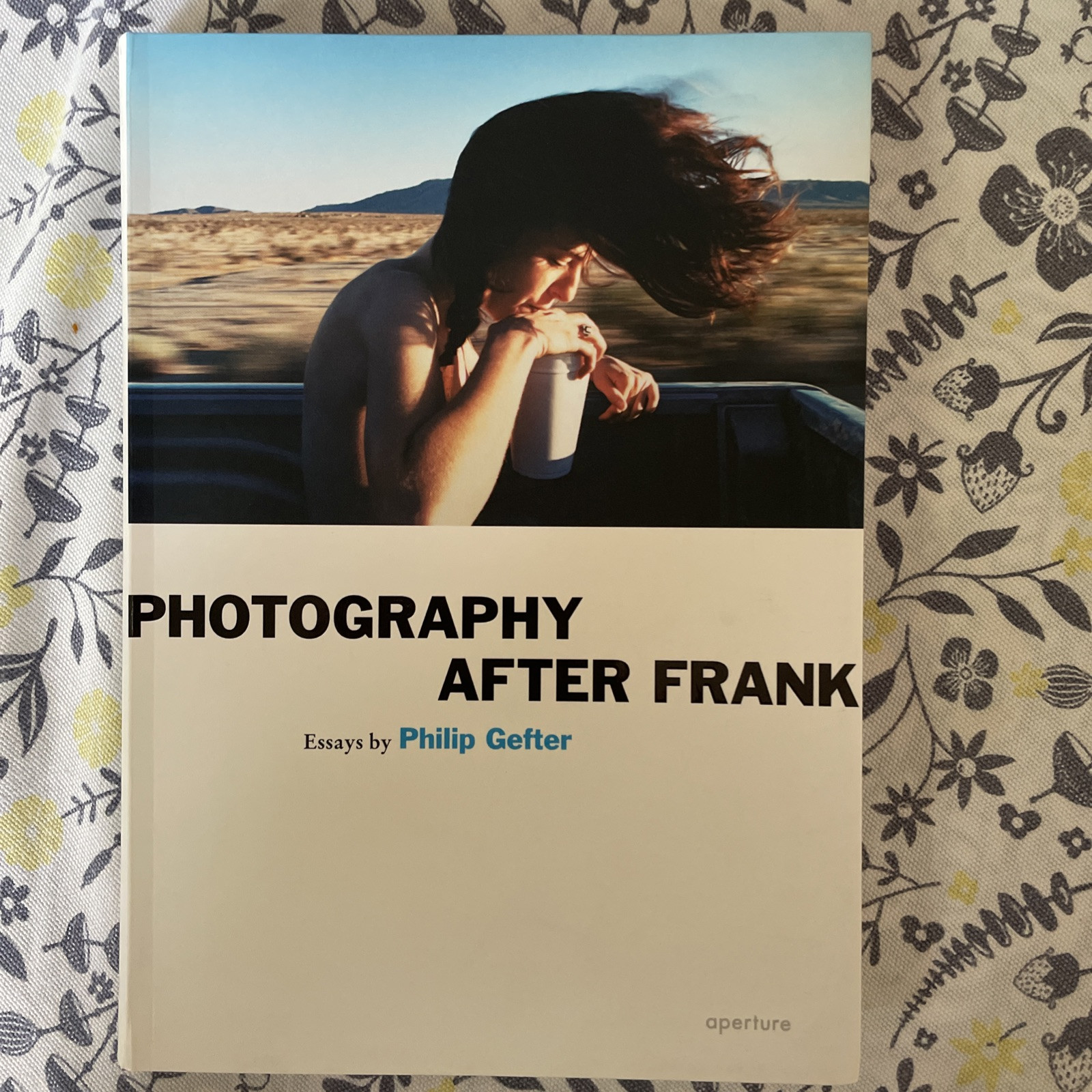 Photography After Frank Essays By Philip Gefter Paperback Aperture Like New