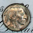 * 1929-S * SOLID+ GEM BU MS BUFFALO NICKEL * FROM ORIGINAL COLLECTION