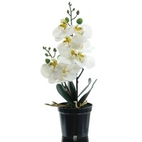 Gasper Orchidee - Phalenopsis Weiß Im Schwarzen Topf 30 Cm - Kunstpflanzen