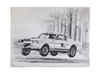 5 Jack Lane prints - FORD Cobra, Mustang, GT40, Carrol Shelby LTD Ed. 224 of 500 — photo 3