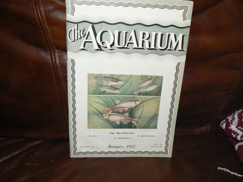 The Aquarium    by Innes Magazine January 1952 , V 21,  N 1, neat Mint Vintage