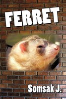 J. Somsak J. | Ferret | Taschenbuch | Englisch (2010) | Kartoniert / Broschiert