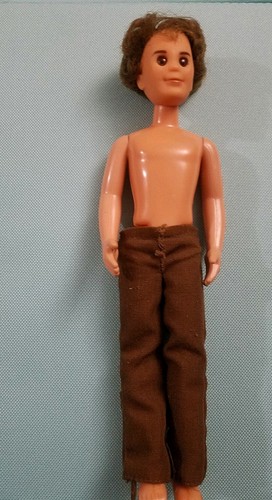 Vintage Mattel Steve Sunshine Family Father