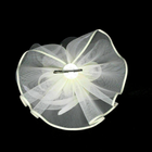 Bild 10 von 20