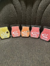 scentsy wax bars
