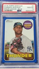 Domingo Acevedo - 2018 Topps Heritage Minor League Blue  PSA 10   #90/99