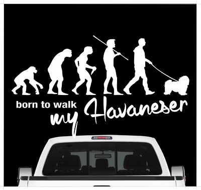 Havaneser Havanese Kuba Bichon Evolution Auto Aufkleber Hund Folie weißer Dog